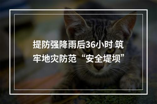 提防强降雨后36小时 筑牢地灾防范“安全堤坝”