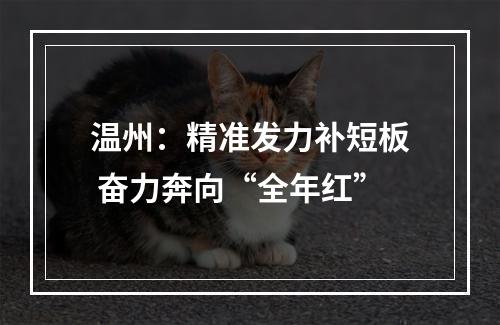 温州：精准发力补短板 奋力奔向“全年红”