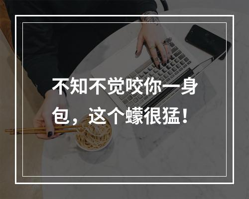 不知不觉咬你一身包，这个蠓很猛！