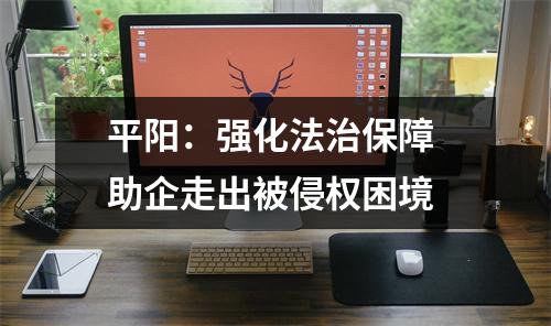 平阳：强化法治保障 助企走出被侵权困境