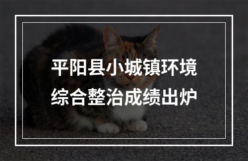 平阳县小城镇环境综合整治成绩出炉