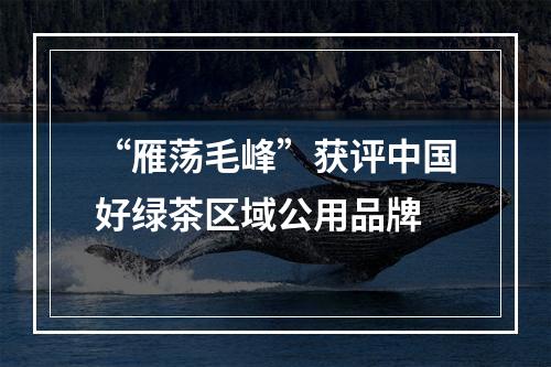 “雁荡毛峰”获评中国好绿茶区域公用品牌