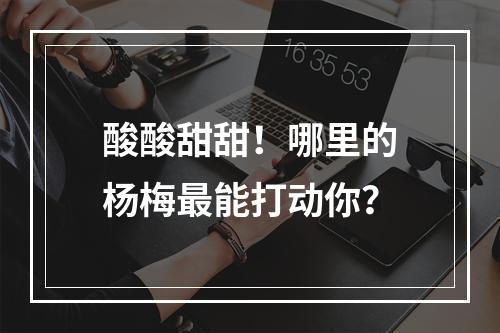 酸酸甜甜！哪里的杨梅最能打动你？