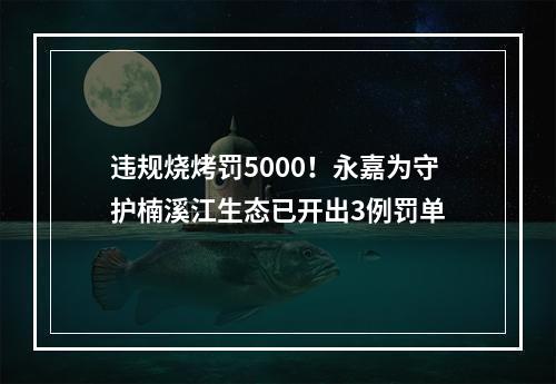 违规烧烤罚5000！永嘉为守护楠溪江生态已开出3例罚单