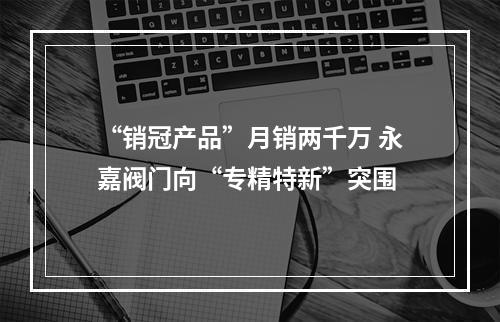 “销冠产品”月销两千万 永嘉阀门向“专精特新”突围