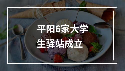 平阳6家大学生驿站成立