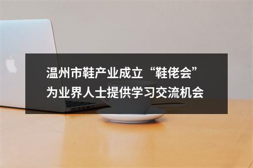 温州市鞋产业成立“鞋佬会” 为业界人士提供学习交流机会