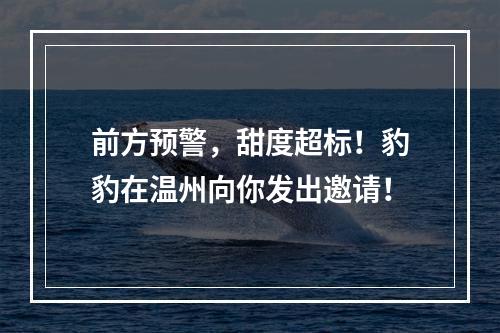 前方预警，甜度超标！豹豹在温州向你发出邀请！