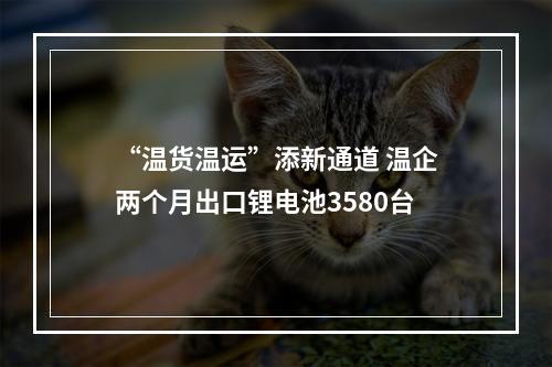“温货温运”添新通道 温企两个月出口锂电池3580台