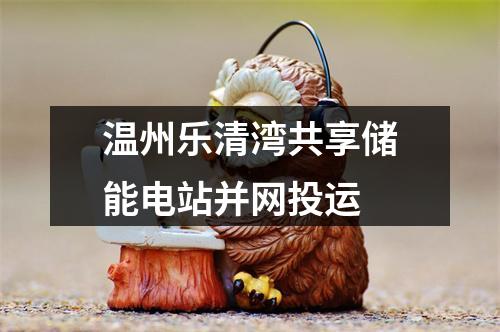温州乐清湾共享储能电站并网投运