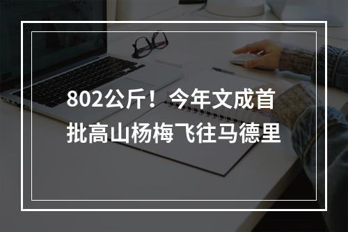 802公斤！今年文成首批高山杨梅飞往马德里
