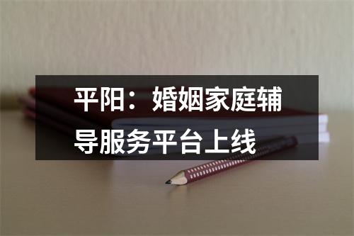 平阳：婚姻家庭辅导服务平台上线