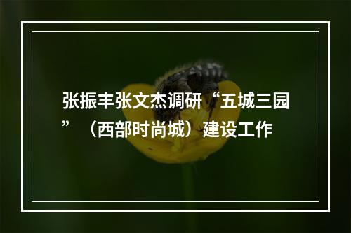张振丰张文杰调研“五城三园”（西部时尚城）建设工作