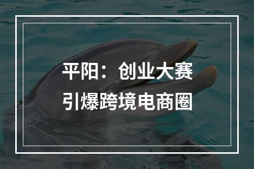 平阳：创业大赛引爆跨境电商圈