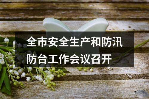 全市安全生产和防汛防台工作会议召开