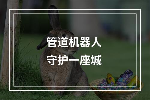 管道机器人 守护一座城