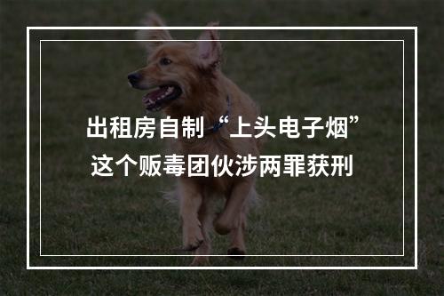 出租房自制“上头电子烟” 这个贩毒团伙涉两罪获刑