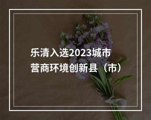 乐清入选2023城市营商环境创新县（市）