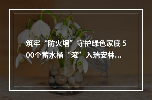 筑牢“防火墙”守护绿色家底 500个蓄水桶“滚”入瑞安林区