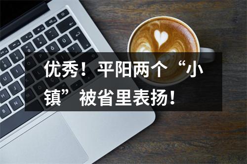 优秀！平阳两个“小镇”被省里表扬！