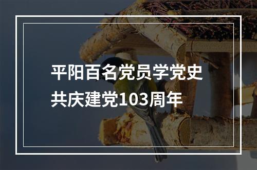 平阳百名党员学党史 共庆建党103周年