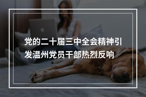 党的二十届三中全会精神引发温州党员干部热烈反响