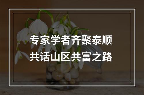 专家学者齐聚泰顺 共话山区共富之路