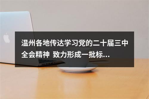 温州各地传达学习党的二十届三中全会精神  致力形成一批标志性的实践创新和制度成果