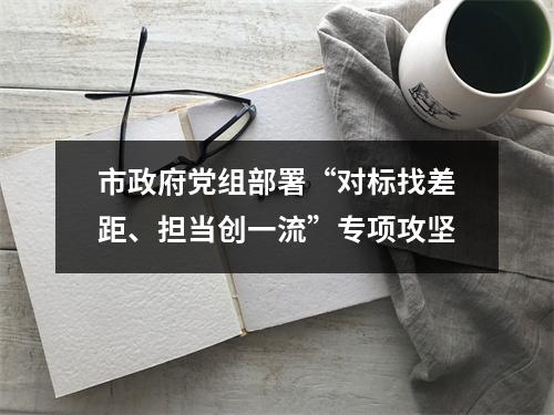 市政府党组部署“对标找差距、担当创一流”专项攻坚