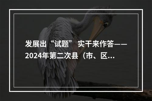 发展出“试题” 实干来作答——2024年第二次县（市、区）比看活动侧记