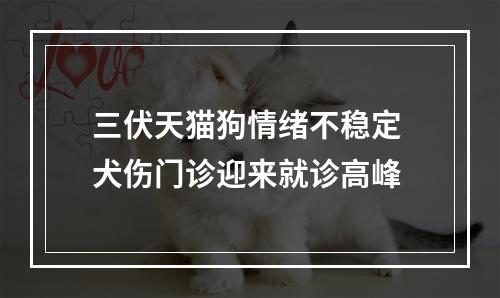 三伏天猫狗情绪不稳定 犬伤门诊迎来就诊高峰