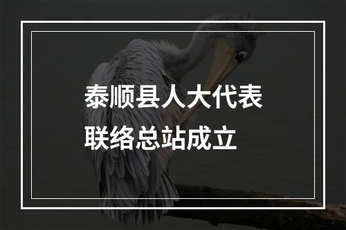 泰顺县人大代表联络总站成立