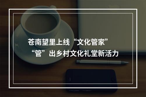 苍南望里上线“文化管家”  “管”出乡村文化礼堂新活力