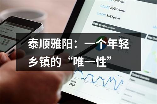 泰顺雅阳：一个年轻乡镇的“唯一性”