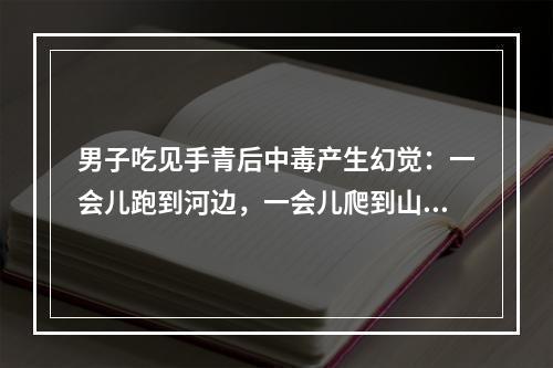 男子吃见手青后中毒产生幻觉：一会儿跑到河边，一会儿爬到山上