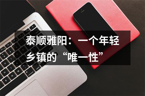 泰顺雅阳：一个年轻乡镇的“唯一性”