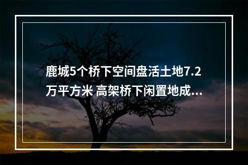 鹿城5个桥下空间盘活土地7.2万平方米 高架桥下闲置地成休闲好去处