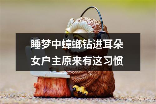 睡梦中蟑螂钻进耳朵 女户主原来有这习惯