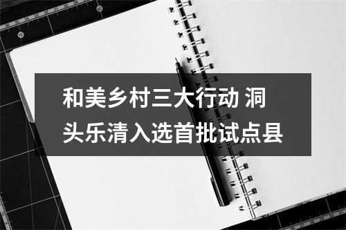 和美乡村三大行动 洞头乐清入选首批试点县