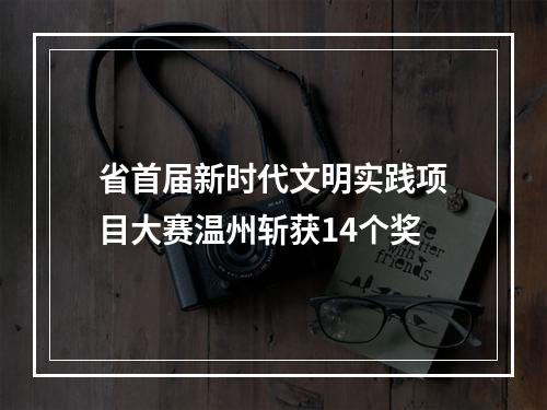 省首届新时代文明实践项目大赛温州斩获14个奖