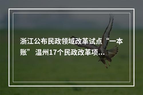 浙江公布民政领域改革试点“一本账” 温州17个民政改革项目入选