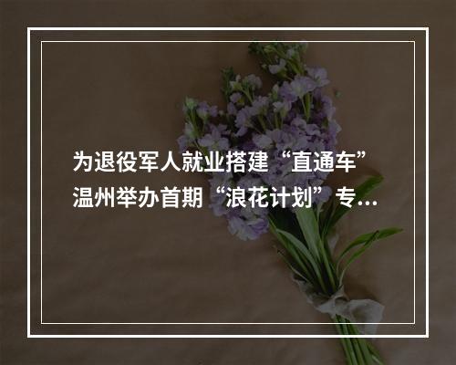为退役军人就业搭建“直通车” 温州举办首期“浪花计划”专项就业推介会