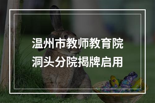 温州市教师教育院洞头分院揭牌启用