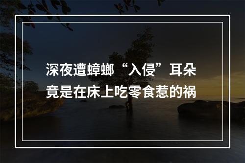 深夜遭蟑螂“入侵”耳朵 竟是在床上吃零食惹的祸