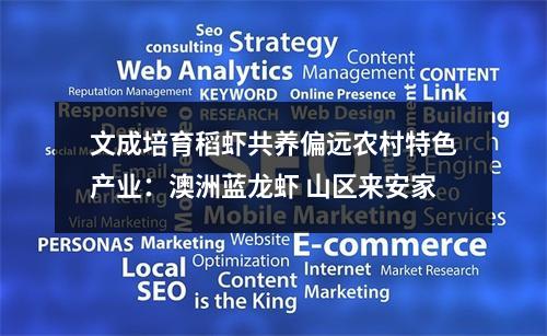 文成培育稻虾共养偏远农村特色产业：澳洲蓝龙虾 山区来安家