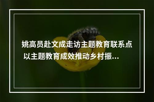姚高员赴文成走访主题教育联系点 以主题教育成效推动乡村振兴百姓致富