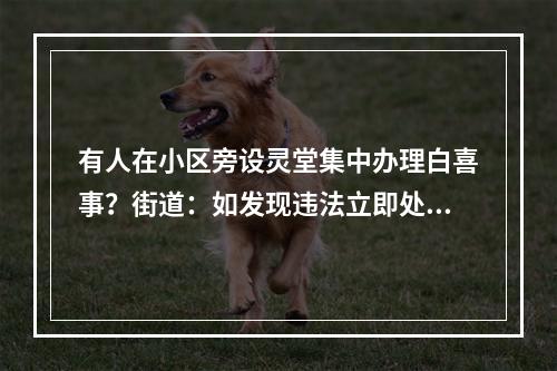 有人在小区旁设灵堂集中办理白喜事？街道：如发现违法立即处理