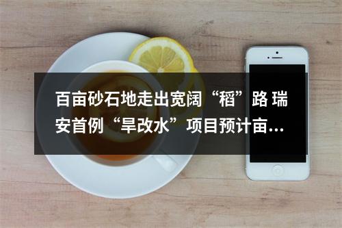 百亩砂石地走出宽阔“稻”路 瑞安首例“旱改水”项目预计亩产800斤