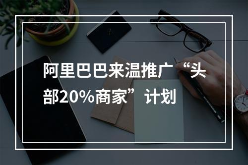 阿里巴巴来温推广“头部20%商家”计划