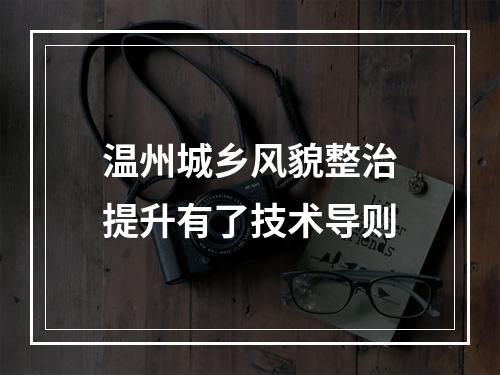 温州城乡风貌整治提升有了技术导则